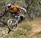 Mountain biker on a trail